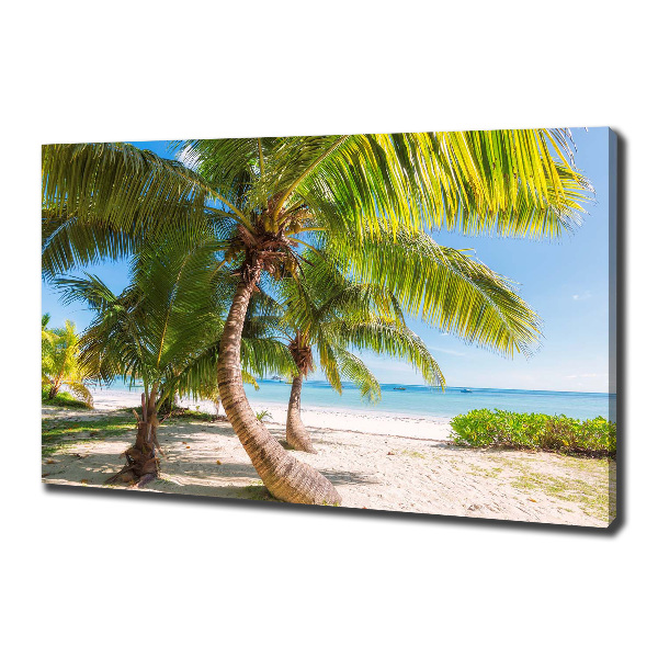 Foto quadro su tela Spiaggia tropicale