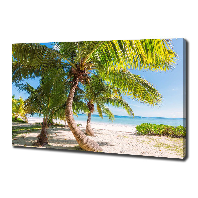 Foto quadro su tela Spiaggia tropicale