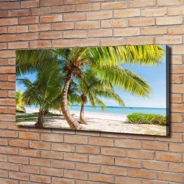 Foto quadro su tela Spiaggia tropicale