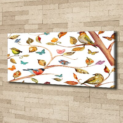 Foto quadro su tela Uccelli e farfalle