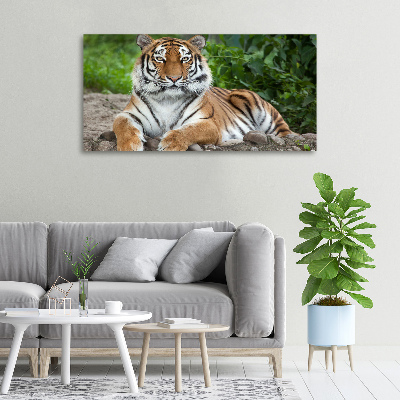 Quadro stampa su tela Tigre siberiana