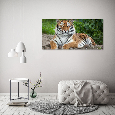 Quadro stampa su tela Tigre siberiana