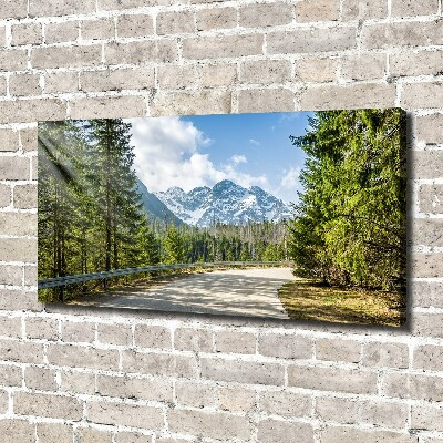 Quadro su tela Strada dei Monti Tatra