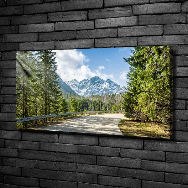 Quadro su tela Strada dei Monti Tatra