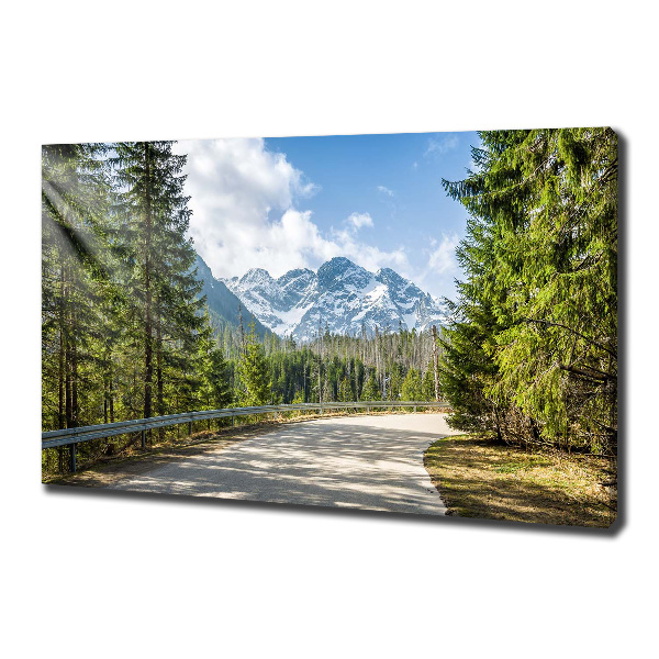 Quadro su tela Strada dei Monti Tatra