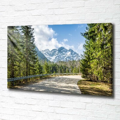 Quadro su tela Strada dei Monti Tatra