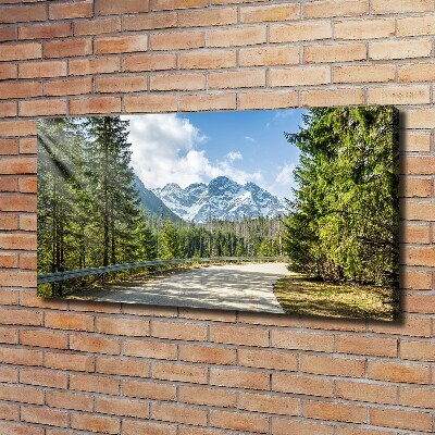 Quadro su tela Strada dei Monti Tatra