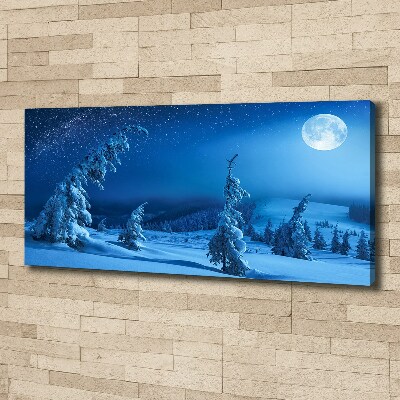 Foto quadro su tela Chiaro di luna