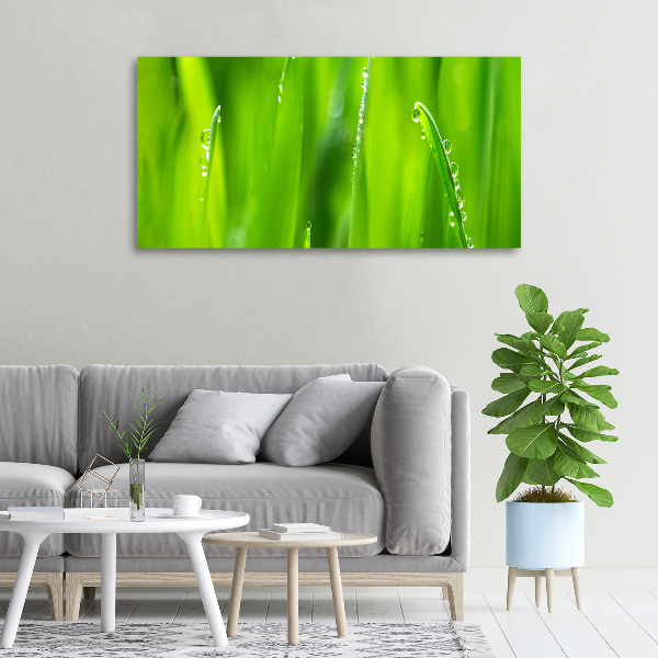 Quadro stampa su tela Avena giovane