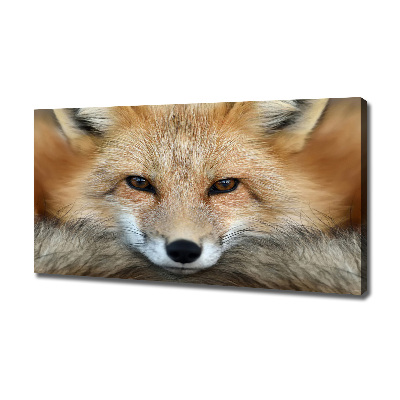 Quadro su tela Volpe