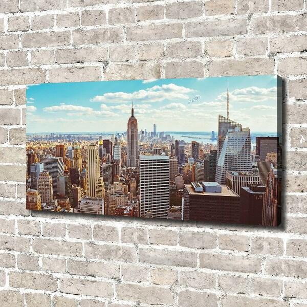 Quadro su tela Vista a volo d'uccello di New York