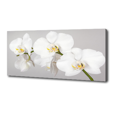 Foto quadro su tela Orchidea