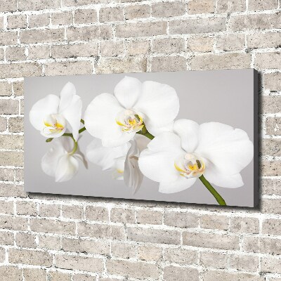 Foto quadro su tela Orchidea