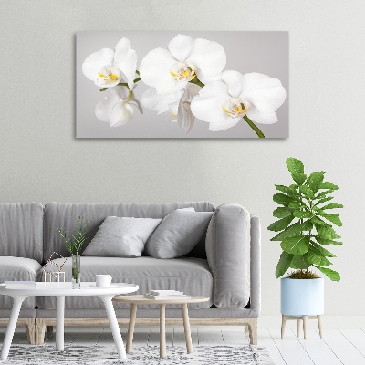 Foto quadro su tela Orchidea