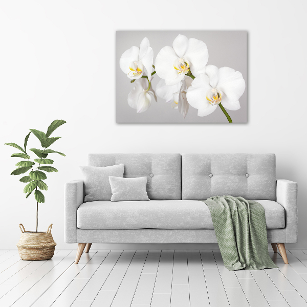 Foto quadro su tela Orchidea