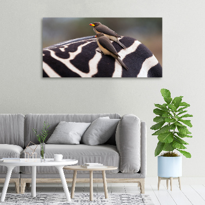 Foto quadro su tela Uccelli e zebra