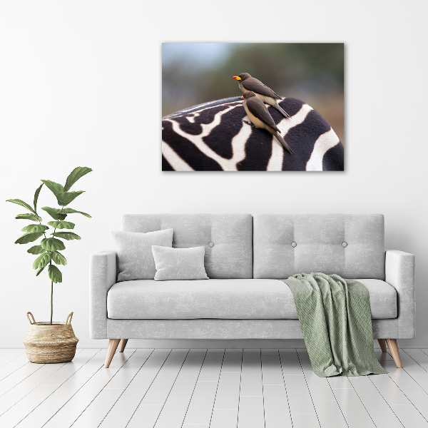Foto quadro su tela Uccelli e zebra