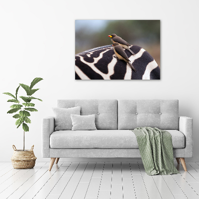 Foto quadro su tela Uccelli e zebra