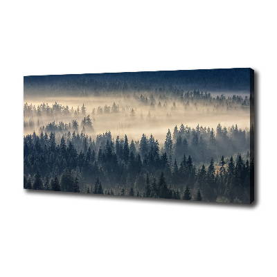 Quadro su tela Nebbia sulla foresta
