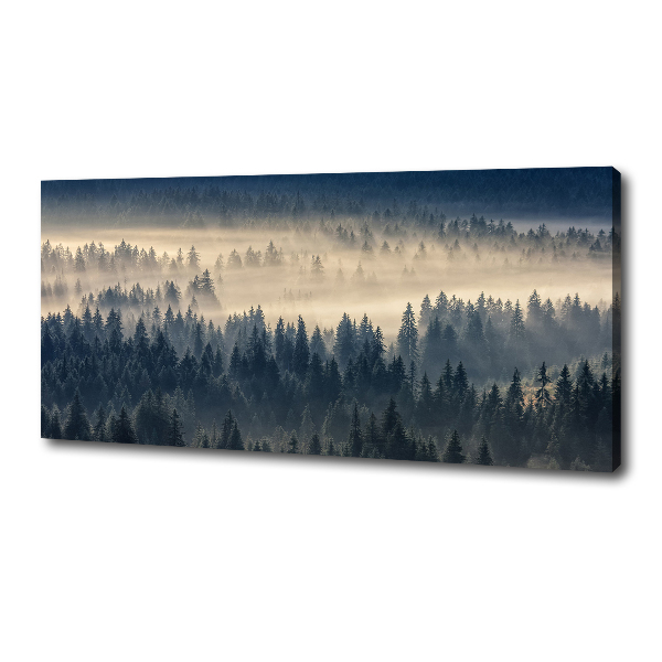 Quadro su tela Nebbia sulla foresta