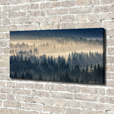 Quadro su tela Nebbia sulla foresta
