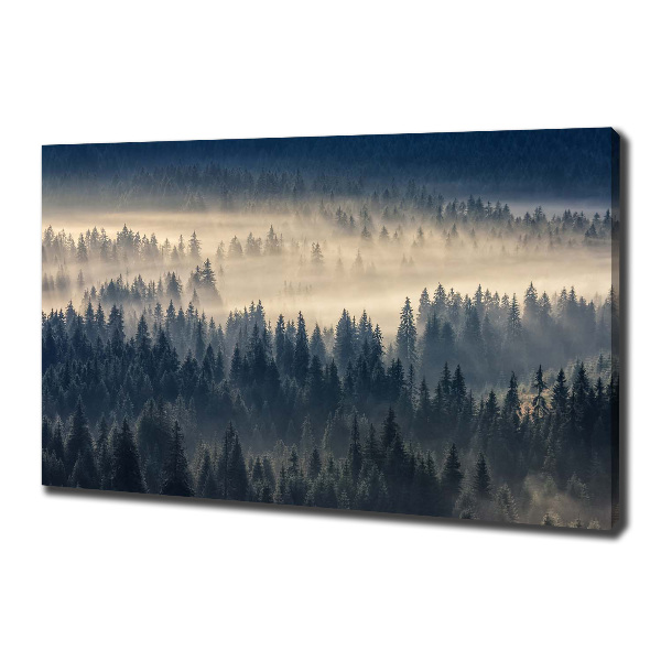 Quadro su tela Nebbia sulla foresta