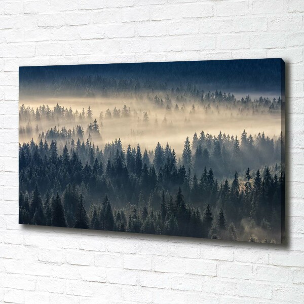 Quadro su tela Nebbia sulla foresta