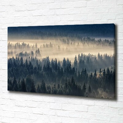 Quadro su tela Nebbia sulla foresta