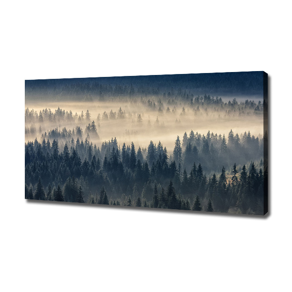 Quadro su tela Nebbia sulla foresta