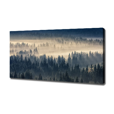 Quadro su tela Nebbia sulla foresta