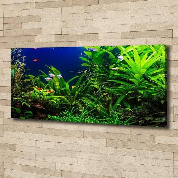 Foto quadro su tela Pesci nell'acquario