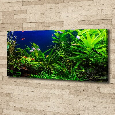 Foto quadro su tela Pesci nell'acquario