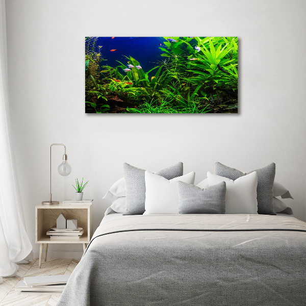 Foto quadro su tela Pesci nell'acquario