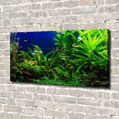 Foto quadro su tela Pesci nell'acquario