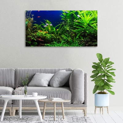 Foto quadro su tela Pesci nell'acquario