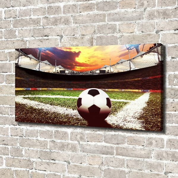 Quadro su tela Palla nello stadio