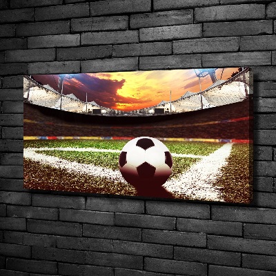 Quadro su tela Palla nello stadio