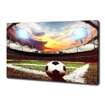 Quadro su tela Palla nello stadio