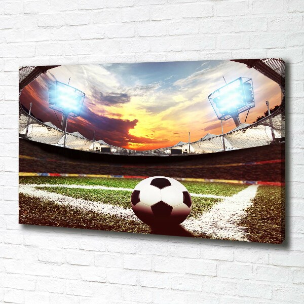 Quadro su tela Palla nello stadio
