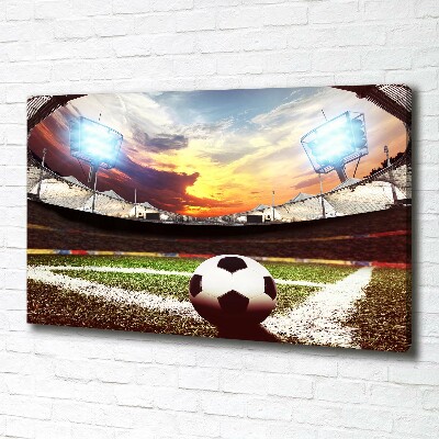 Quadro su tela Palla nello stadio