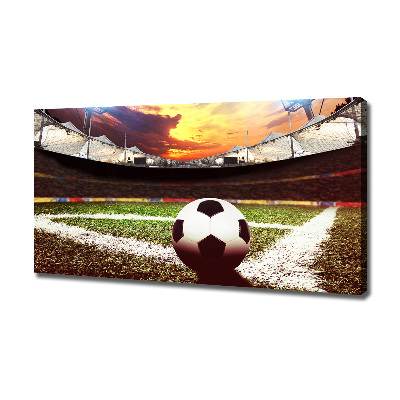 Quadro su tela Palla nello stadio