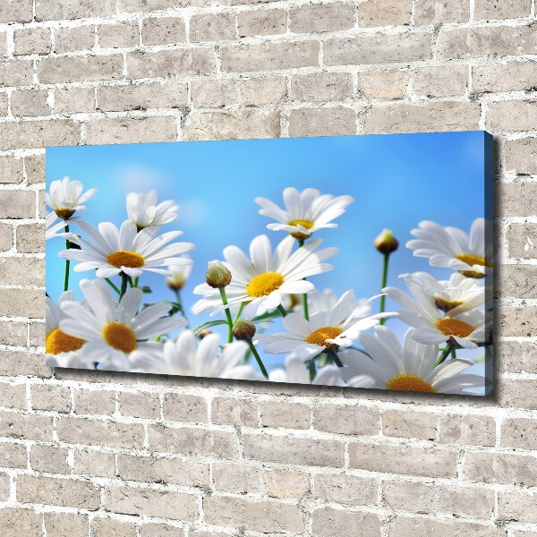 Quadro su tela Margherite