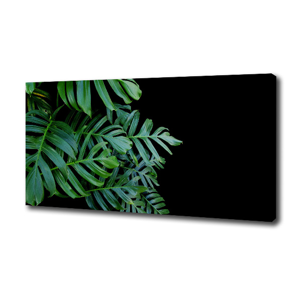 Foto quadro su tela Monstera