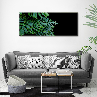 Foto quadro su tela Monstera