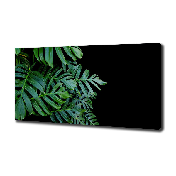 Foto quadro su tela Monstera