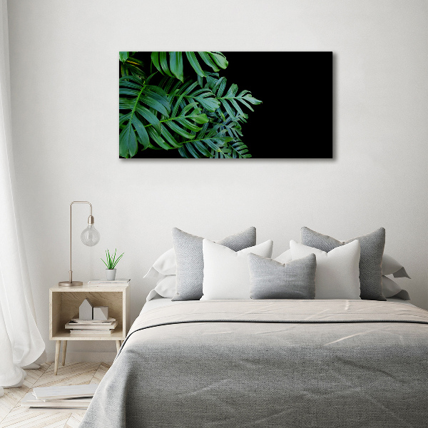 Foto quadro su tela Monstera