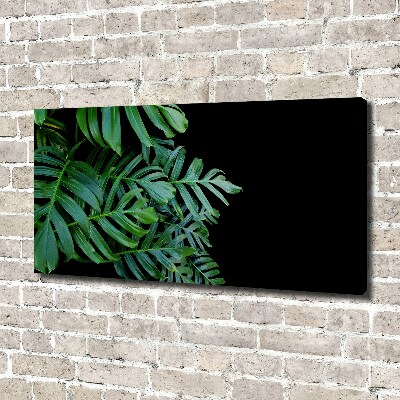 Foto quadro su tela Monstera