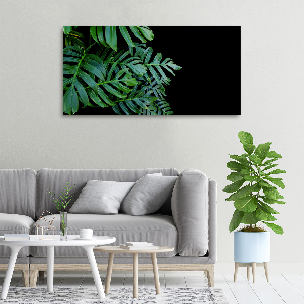 Foto quadro su tela Monstera