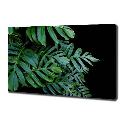 Foto quadro su tela Monstera
