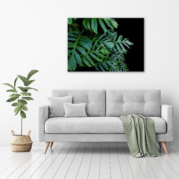 Foto quadro su tela Monstera